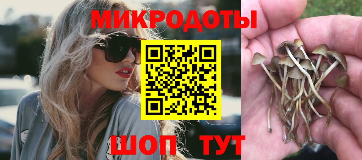 Псилоцибиновые грибы мухоморы Псков