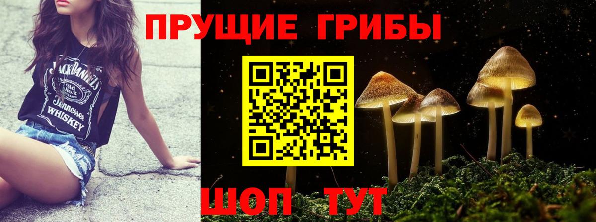Псков  Псилоцибиновые грибы Cubensis  Вход с VPN 